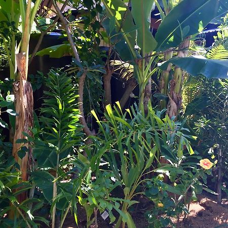 Mahogany Cottage Gili Meno Exterior foto